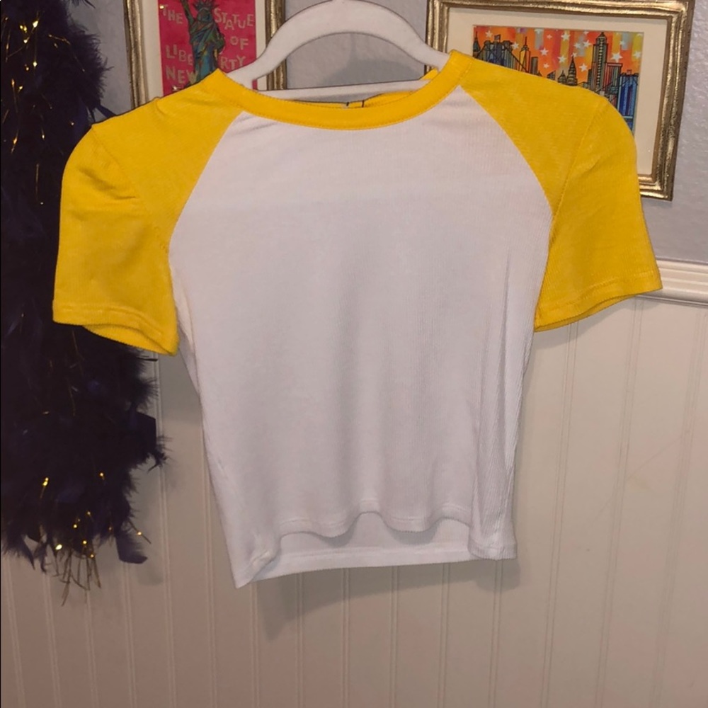 Zara crop top with tag and never worn!